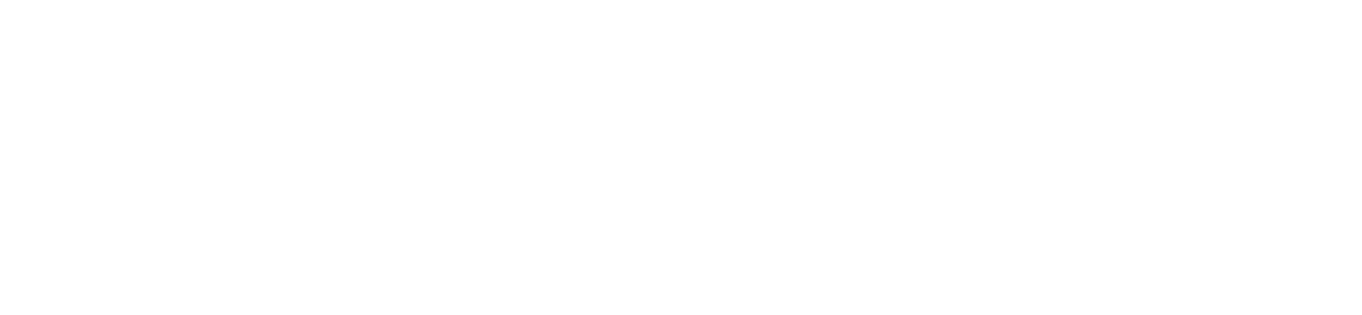 Business Wave Investment